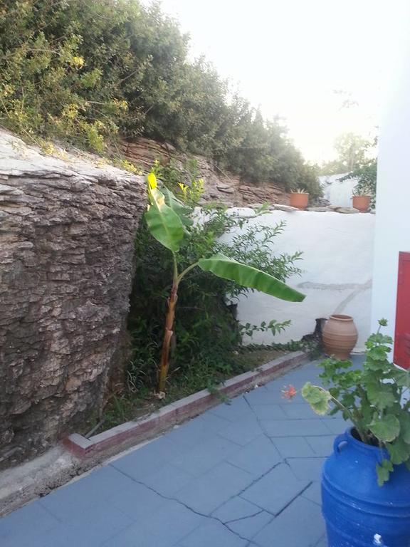 Iris Studios Archangelos  Exterior photo